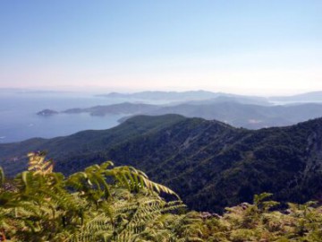 La “green list” dell’IUCN include tre parchi italiani